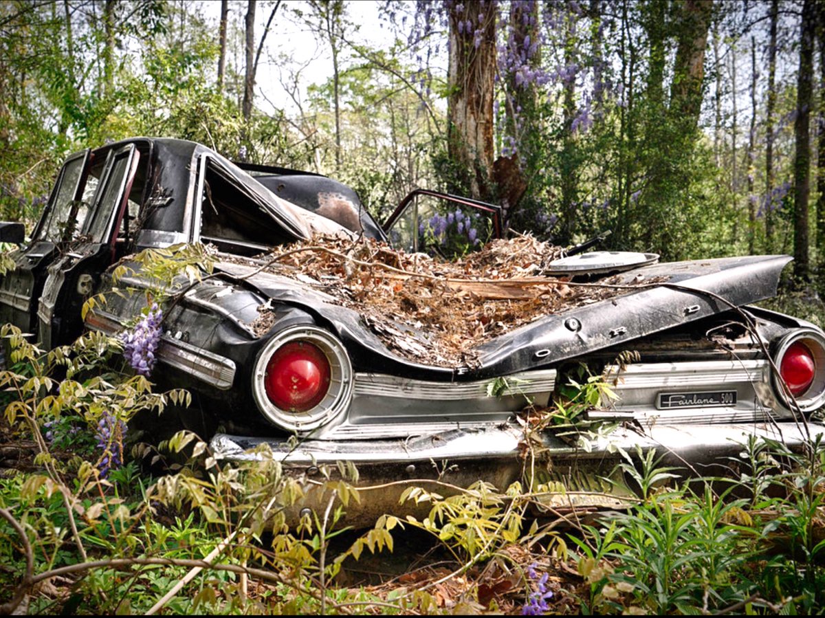 post nasal droll (@alldrolledup) on Twitter photo tbt 1991 <a href="/fuzzlime/">Her Tall Boots</a> wins a new car playing MacDonalds Monopoly BUT spies this Fairlane and swaps pinkslips with the dude at the next red light BUT that night she overshoots my driveway and crash parks it in my wild wisteria, where she still lives in it tbt 1991 <a href="/fuzzlime/">Her Tall Boots</a> wins a new car playing MacDonalds Monopoly BUT spies this Fairlane and swaps pinkslips with the dude at the next red light BUT that night she overshoots my driveway and crash parks it in my wild wisteria, where she still lives in it