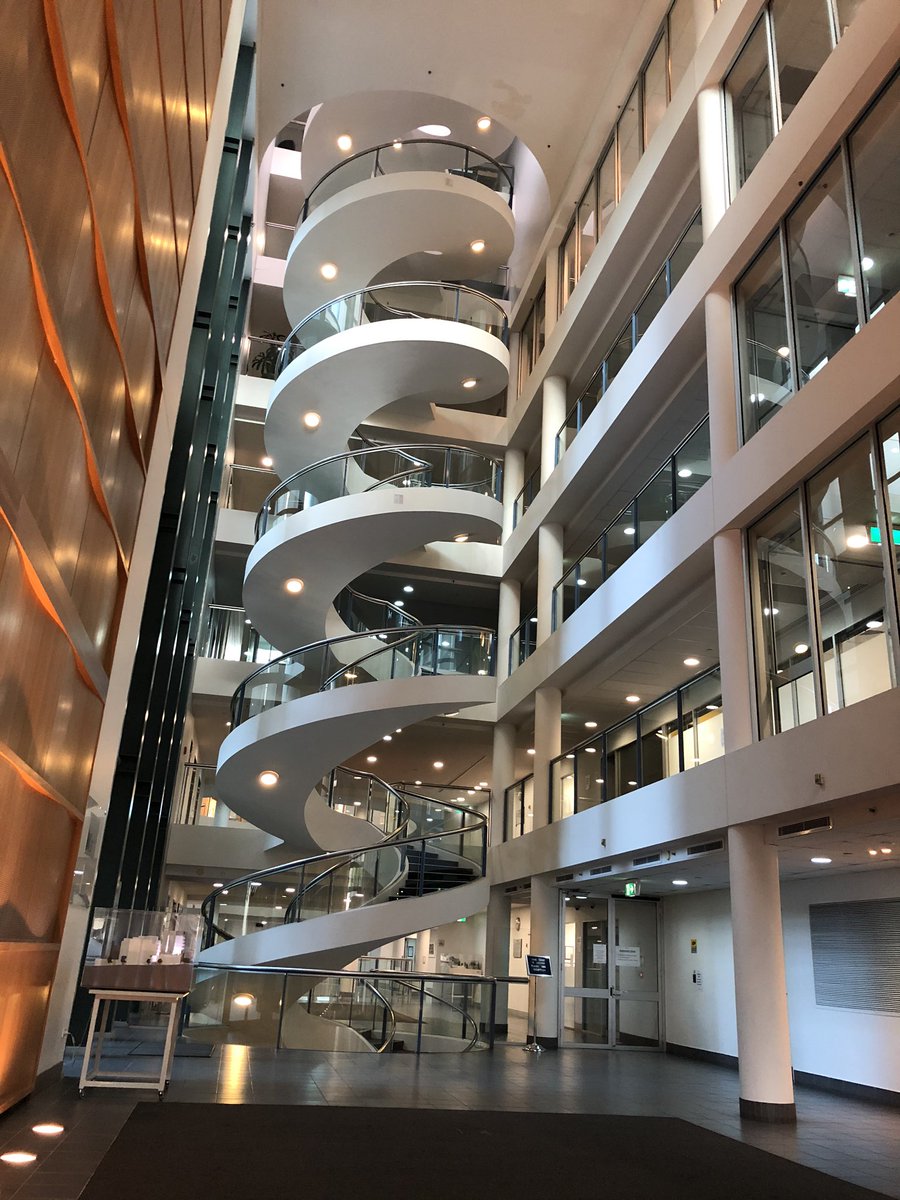 aurorastormG3's tweet photo. @GarvanInstitute Where contemporary architecture meets world class medical research. A home to brilliant medical scientists and researchers. #GarvanInstitute #MedicalResearch #Science #STEM #Diabetes #Immunology #ScientificResearch #Architecture #Design https://t.co/RooU6yeE1q