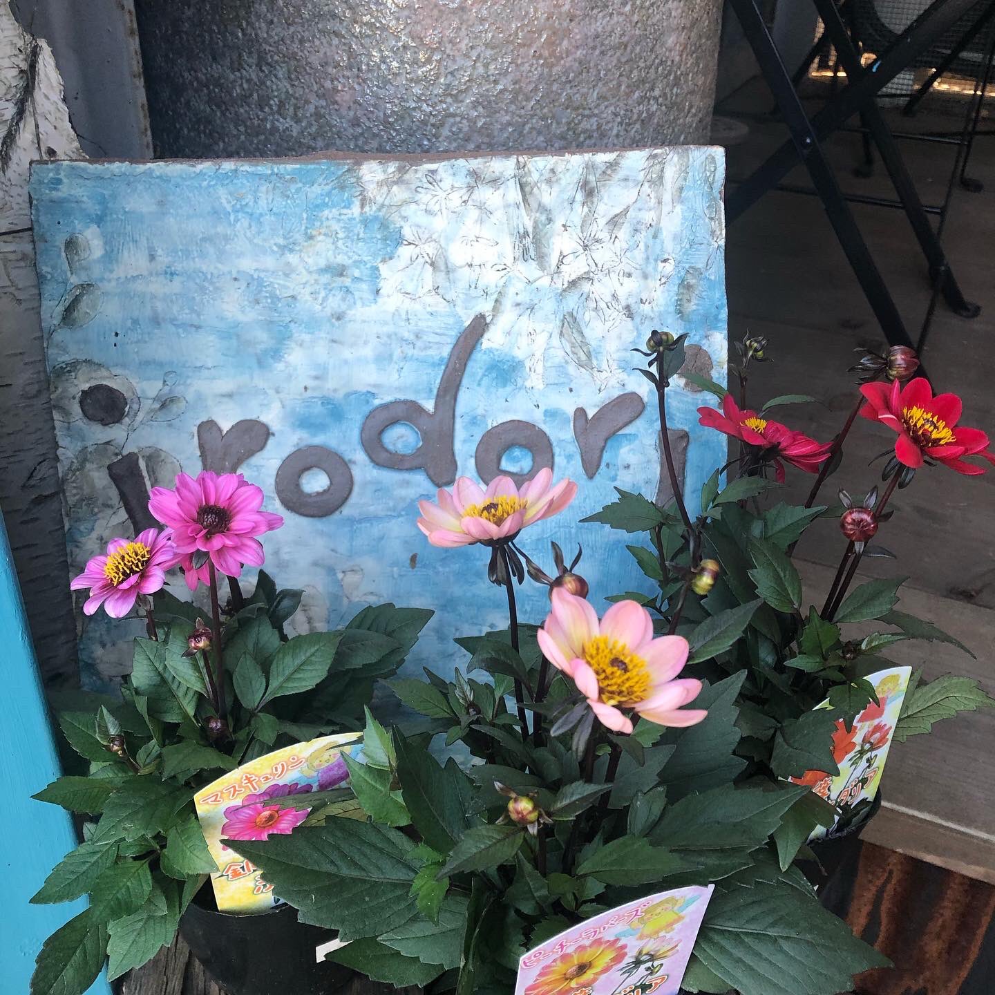 O Xrhsths 瀬戸市まるっとミュージアム 観光協会 Sto Twitter 観光協会の会員店舗さん その78 Irodori さん 尾張 瀬戸駅から徒歩約10分ほどの場所にあり 店主さんが1人で切り盛りする 小さな花屋さんです 瀬戸市 瀬戸市観光 Setoshi Irodori 花屋 雑貨