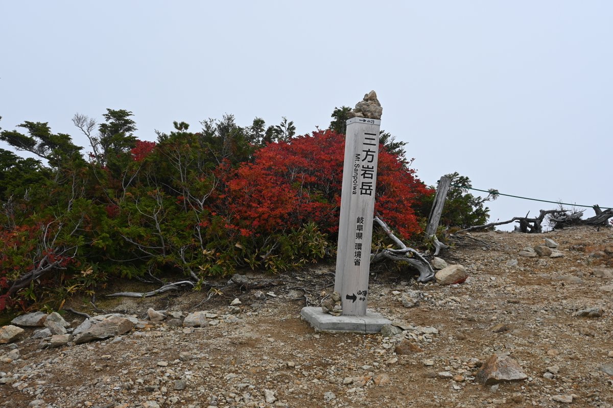 R79843774 photo