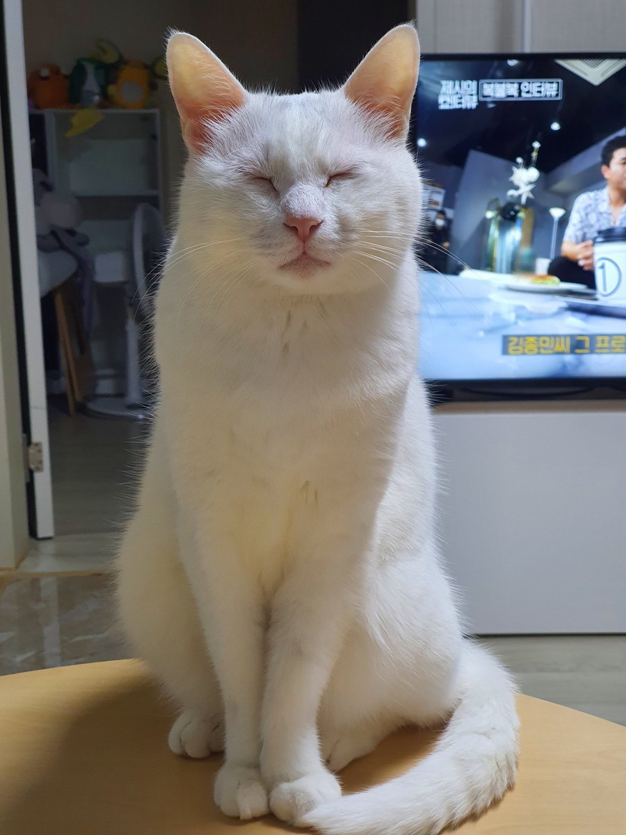 11살의 귀여움...