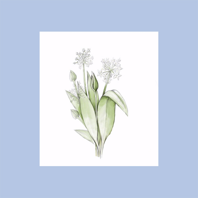 MagPunctuate's tweet image. Punctuate's past contributors, editors, friends:
The Columbia College Chicago Department of English &amp;amp; Creative Writing is thrilled to introduce our new literary magazine, Allium, which will replace our 3 genre-specific journals, creating a multi-genre print &amp;amp; online publication!