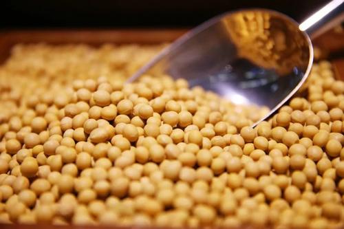 #SunSirs: #Supply is Tight, #China's New Season #Soybean #Market is Heating up
https://t.co/lFa0JAdZcg
#agricultural #bulk #commodity #data #trend #trade #typhoon #October #analysis #demand https://t.co/dl03FAncMY