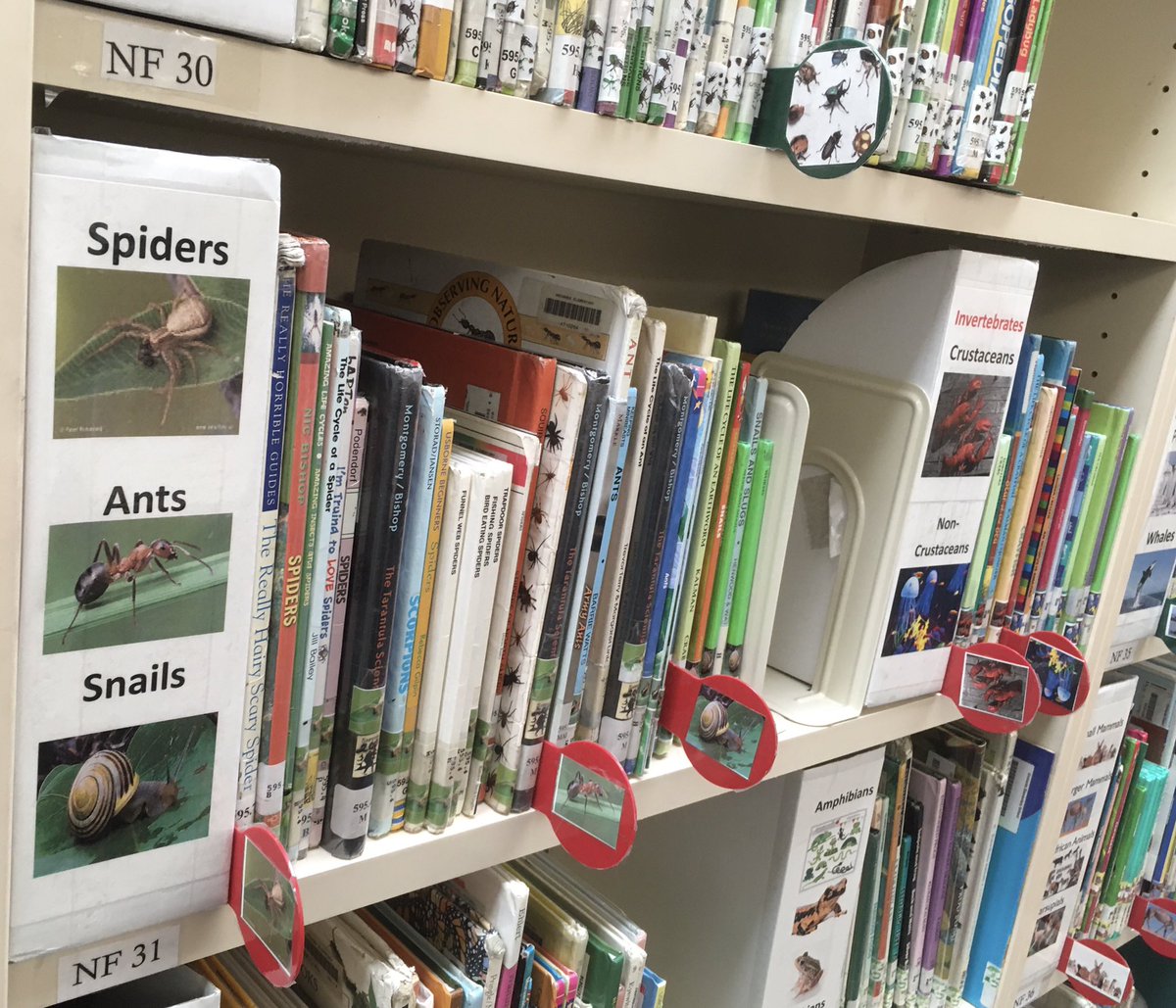 Jenn Moe tweet media