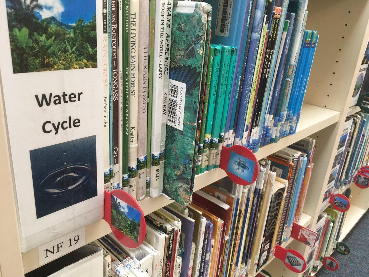 Jenn Moe tweet media