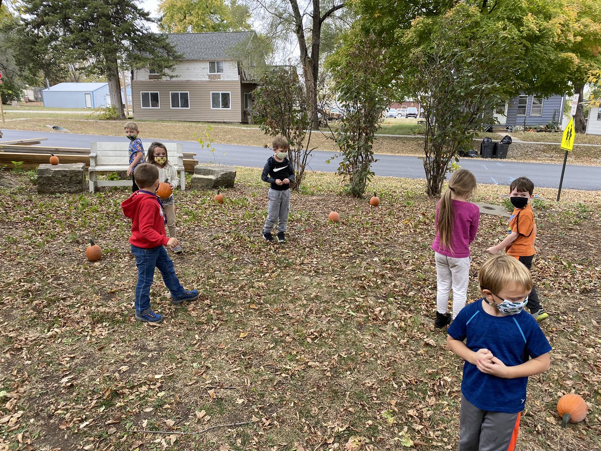 ksschaake's tweet photo. @ksschaake @WestyElemSchool 
Searching for the great pumpkin in the Westy Garden! Thanks to Theresa Wege for the donation of the pumpkins. The pumpkins came from Schaake’s Pumpkin Patch! https://t.co/tCQiHfgPfV