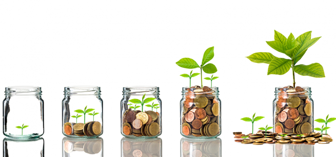 coins in a jar with a plant growing out of the jar