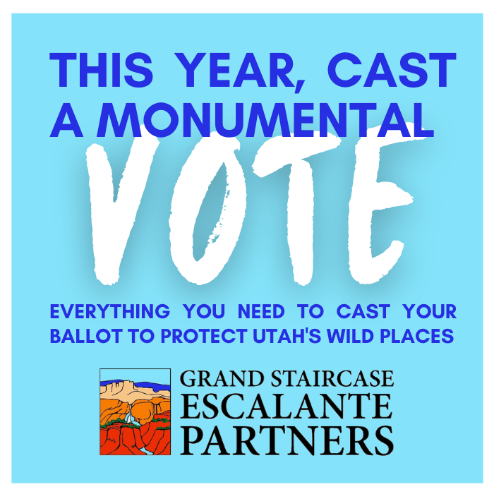 GsePartners's tweet photo. Election Day is two weeks away, but you still have a few days to update your registration and vote by mail. Follow the steps outlined in these graphics.
#monumentalvote #savegrandstaircaseย #protectbearsears #voteut #vote2020 #PublicLands #MonumentsforAllย #utahisrad https://t.co/29o3fpJ0mx