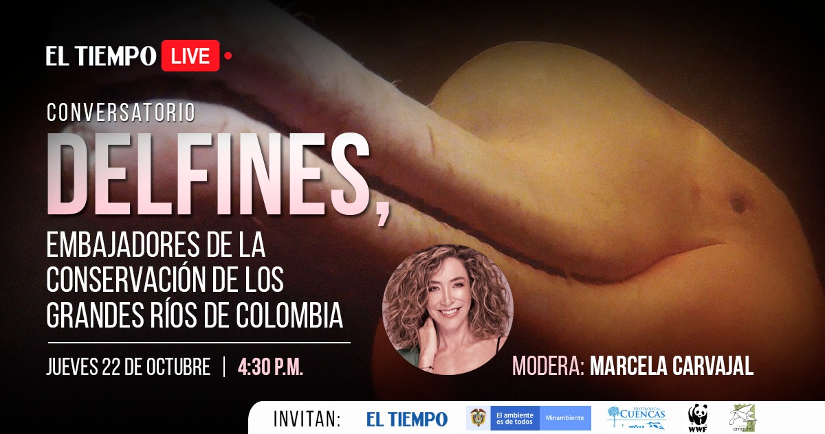 Fundación Omacha tweet media