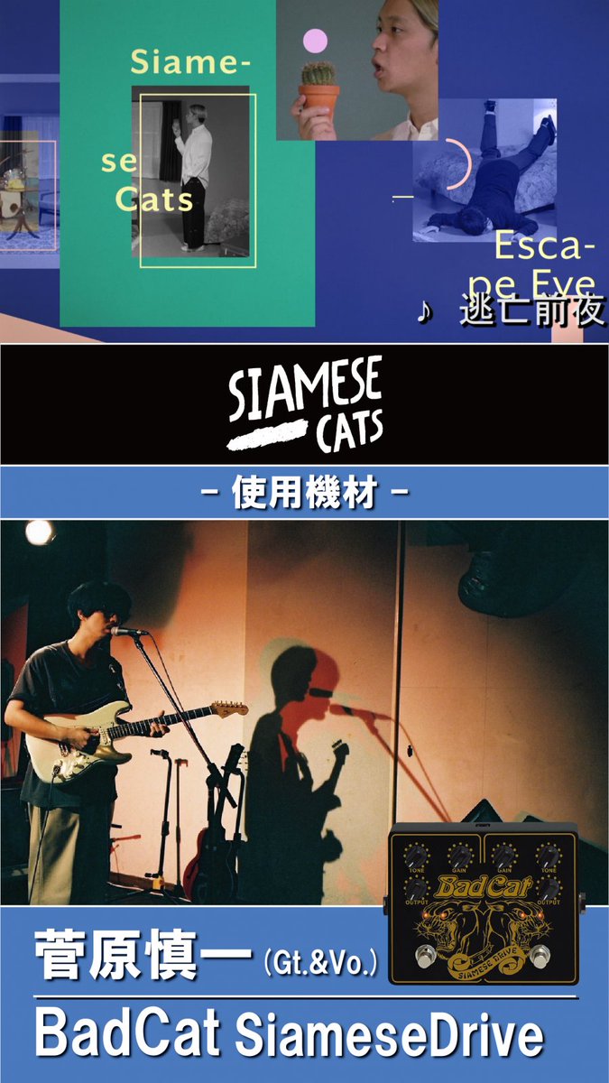 島村楽器BRANDS|アカウント統合しました (@shima_brands) on Twitter photo 🎧リリース情報🎧
シャムキャッツ ベストアルバム「大塚夏目藤村菅原」が本日発売📀
リリースを記念し島村楽器(一部専門店を除く)で独自コンテンツを配信✨
惜しまれつつ解散となったシャムキャッツの10年間を詰め込んだLP2枚組で登場です!👍SH
<a href="/s_cats/">Siamese Cats シャムキャッツ</a> 🎧リリース情報🎧
シャムキャッツ ベストアルバム「大塚夏目藤村菅原」が本日発売📀
リリースを記念し島村楽器(一部専門店を除く)で独自コンテンツを配信✨
惜しまれつつ解散となったシャムキャッツの10年間を詰め込んだLP2枚組で登場です!👍SH
<a href="/s_cats/">Siamese Cats シャムキャッツ</a>