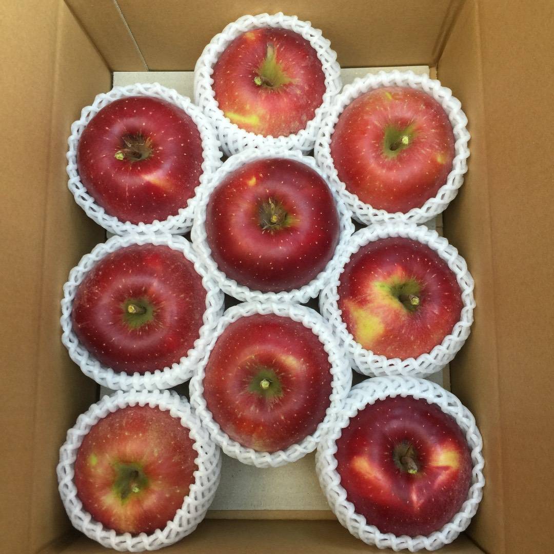 3d_papas's tweet photo. 【📢おいしいりんご、続々登場🆕】
🍎超希少品種!レッドゴールド✨
⚠️少量生産のため3㎏セットのみ🙇♂️
https://t.co/sLtJR82fai
🍎安定人気!シナノスイート✨
❄️寒さが増して甘み増強中💪
https://t.co/HBBlyOib28
#avacus #avacusbazaar #avacusfarm https://t.co/tKpUEuYxpA