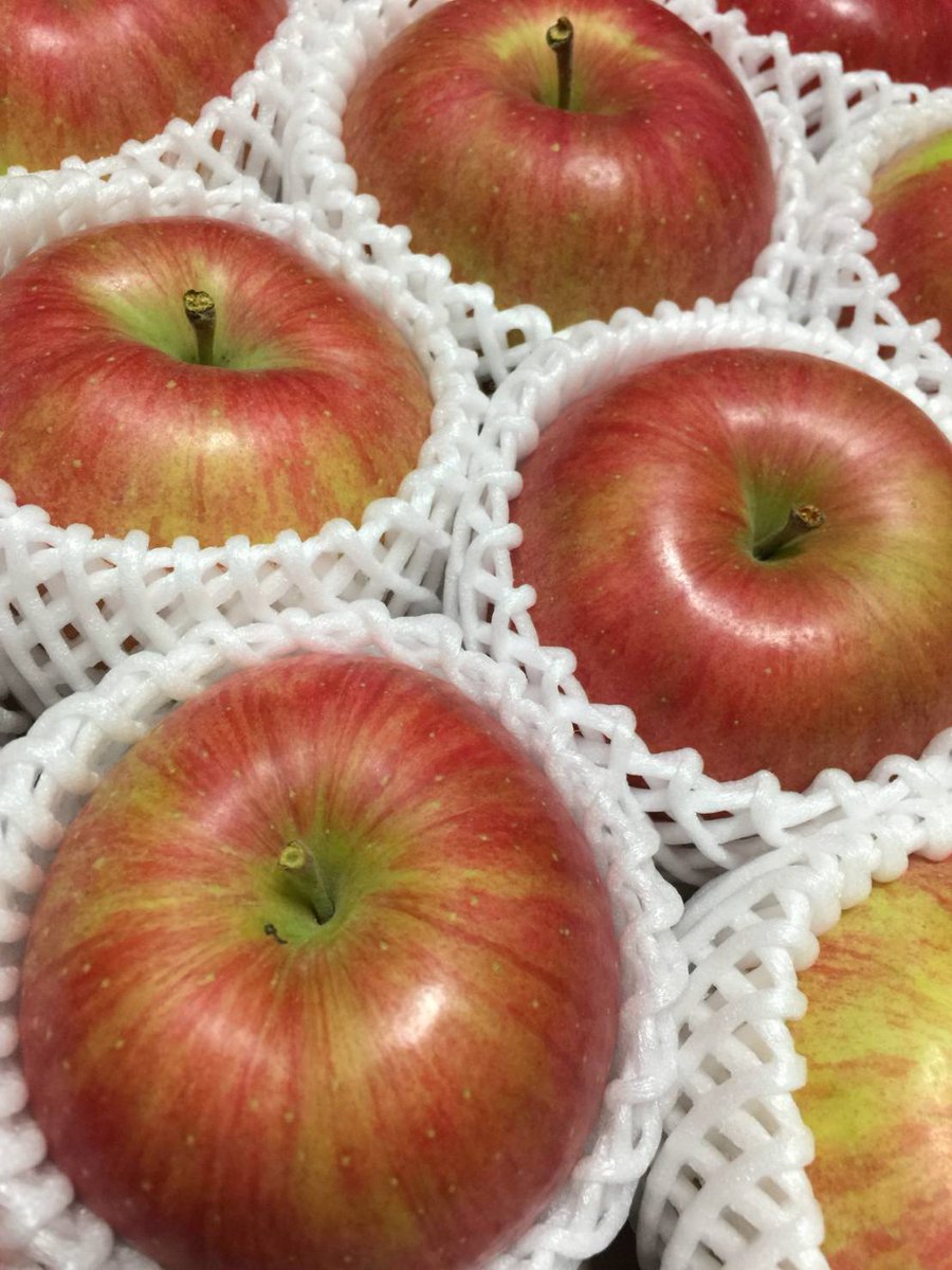 3d_papas's tweet photo. 【📢おいしいりんご、続々登場🆕】
🍎超希少品種!レッドゴールド✨
⚠️少量生産のため3㎏セットのみ🙇♂️
https://t.co/sLtJR82fai
🍎安定人気!シナノスイート✨
❄️寒さが増して甘み増強中💪
https://t.co/HBBlyOib28
#avacus #avacusbazaar #avacusfarm https://t.co/tKpUEuYxpA