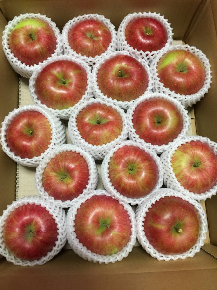 3d_papas's tweet photo. 【📢おいしいりんご、続々登場🆕】
🍎超希少品種!レッドゴールド✨
⚠️少量生産のため3㎏セットのみ🙇♂️
https://t.co/sLtJR82fai
🍎安定人気!シナノスイート✨
❄️寒さが増して甘み増強中💪
https://t.co/HBBlyOib28
#avacus #avacusbazaar #avacusfarm https://t.co/tKpUEuYxpA