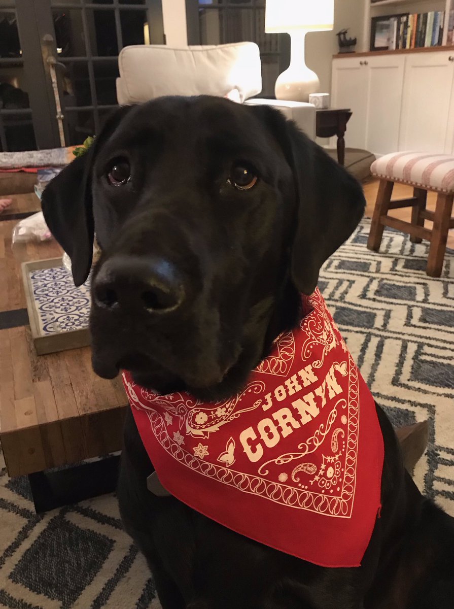 Jake Whitten tweet media