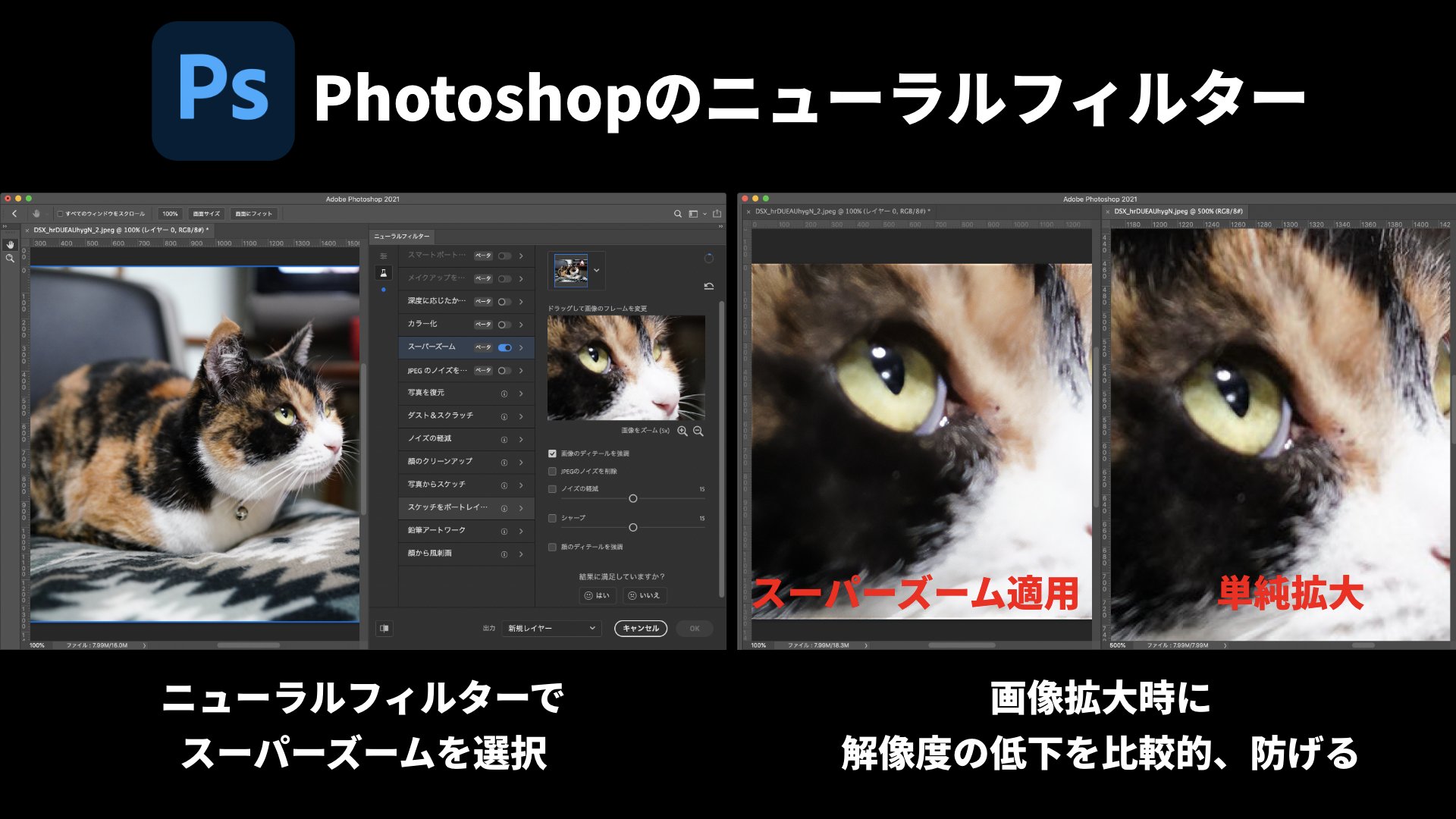 池田 泰延 ニューラルフィルターのひとつ スーパーズーム 画像拡大時の解像度の低下を防げる Adobemax Photoshop T Co Fcuab5pben Twitter