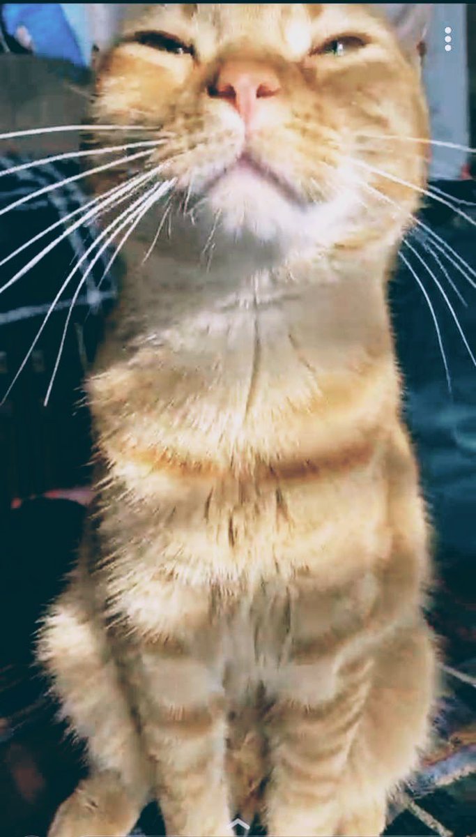 dwebbs901's tweet photo. @katebarstool Fred Weasley fell into the bathtub last night ‘cause he was bubble goofing’ too hard 🤣 https://t.co/uxUSe1889G