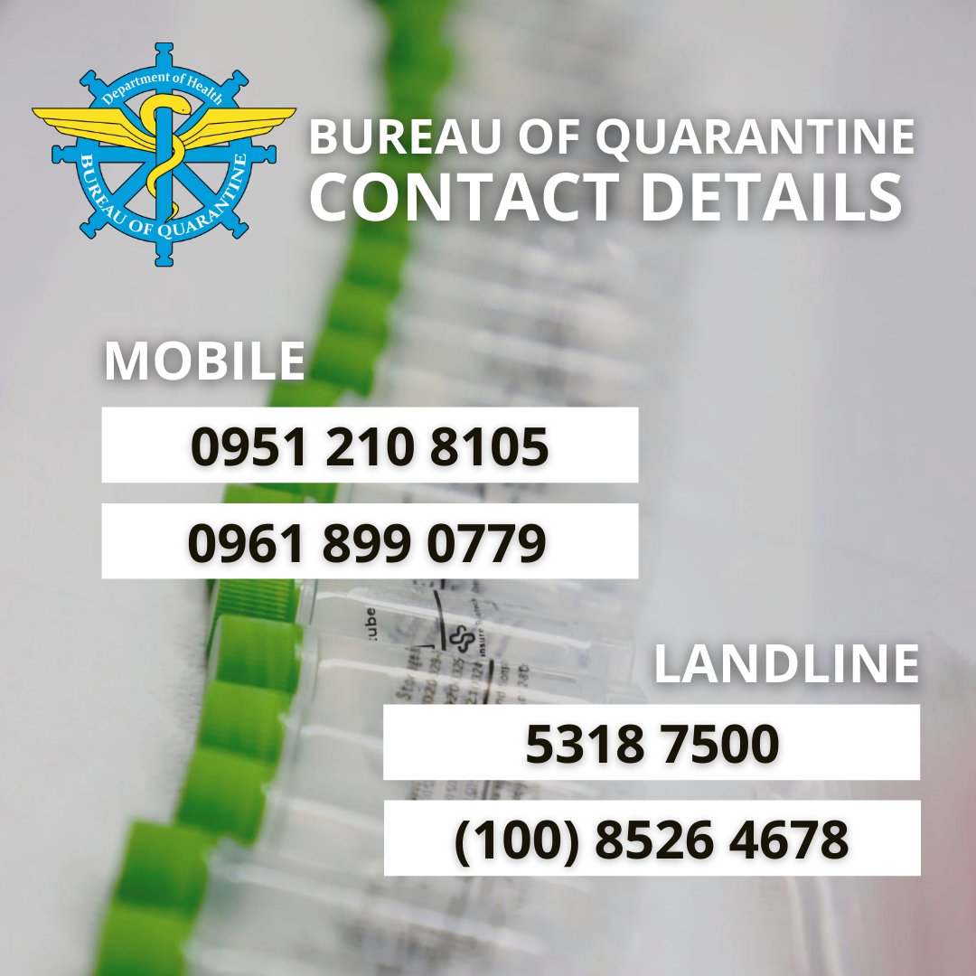 PARA SA MGA RETURNING OVERSEAS FILIPINOS: Narito ang contact details ng Bureau of Quarantine (BOQ) na maaaring tawagan para sa update tungkol sa inyong swab test result / quarantine clearance. 

Mobile: 0951 210 8105 / 0961 899 0779
Landline: 5318 7500 / (100) 8526 4678