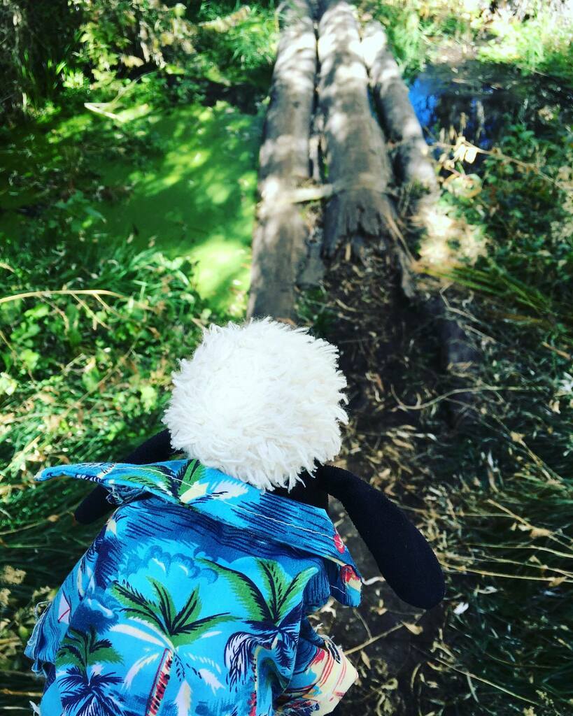 Annettehelen's tweet photo. Hmmm, I wonder if there’s a troll under this bridge? #trollbridge #plushiesofinstagram #shaunthesheep https://t.co/yf1kXuLXXm https://t.co/DKXPjuYKvg