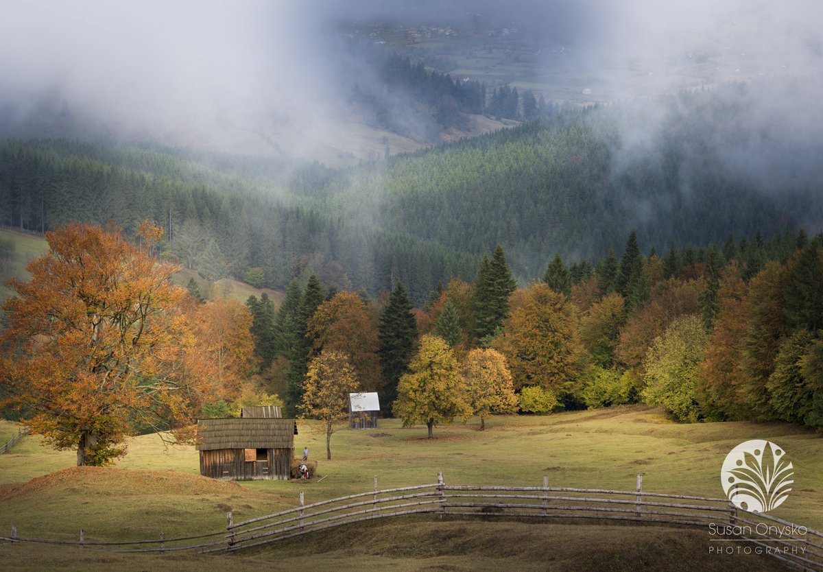 - https://t.co/EGi9305ZTC - #susanonyskophotography #nikonnofilter #travelphotography #travelphotographer #travelphotographerpro #romania #experience.romania #fineartlandscape #falltrees #fineartlandscapephotography #autumn #bucovina #landscape #landscapephotography #foggyday ... https://t.co/MXYGFzXX9q