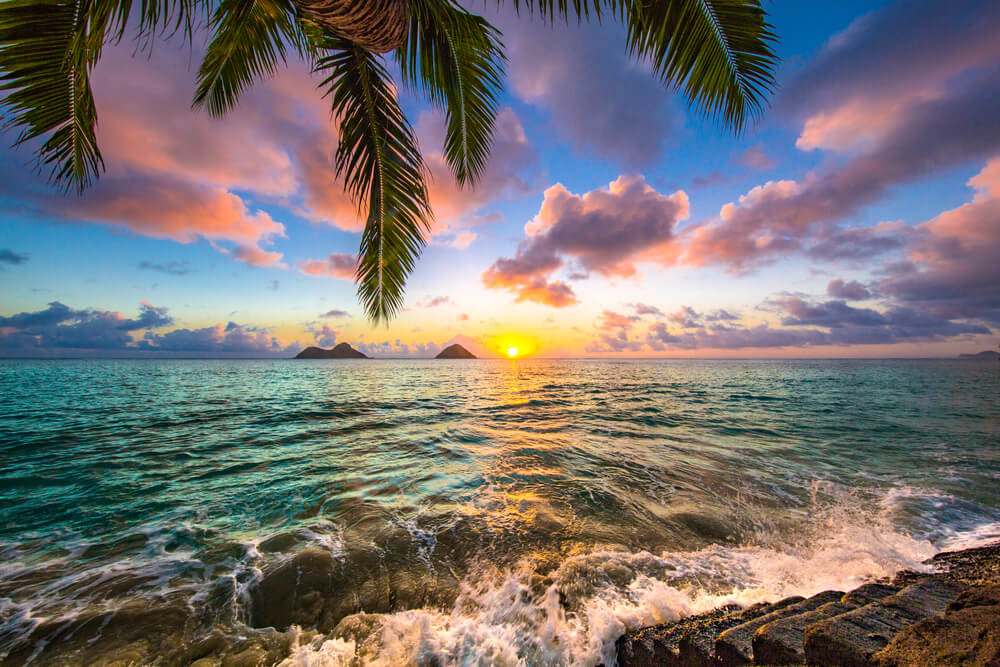 RealNatalieOtto's tweet photo. Southwest...take me away to Hawaii! #TinPanSOUTHWEST #Sweepstakes @TinPanSouth and @SouthwestAir https://t.co/ZuzqFv10J6