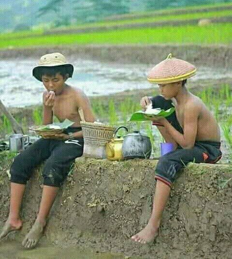 Jangan berkecil hati dengan sedikitnya teman mau bertani.

Inilah jalan kebenaran. 
Penduduk semakin bayak, kebutuhan pangan terus meningkat.

👌 Rep / Like / RT
#programfolback
#BanggaBertani
Akun saya promote Malam Jumat

<a href="/TheArieAir/">Arie Dirgantara</a> 
<a href="/ayah9_garislucu/">sudahtidakluculagi</a> 
<a href="/PakTaniMuda/">Saya Masih™️</a>
<a href="/1802_kimmi/">キミヘレ</a>