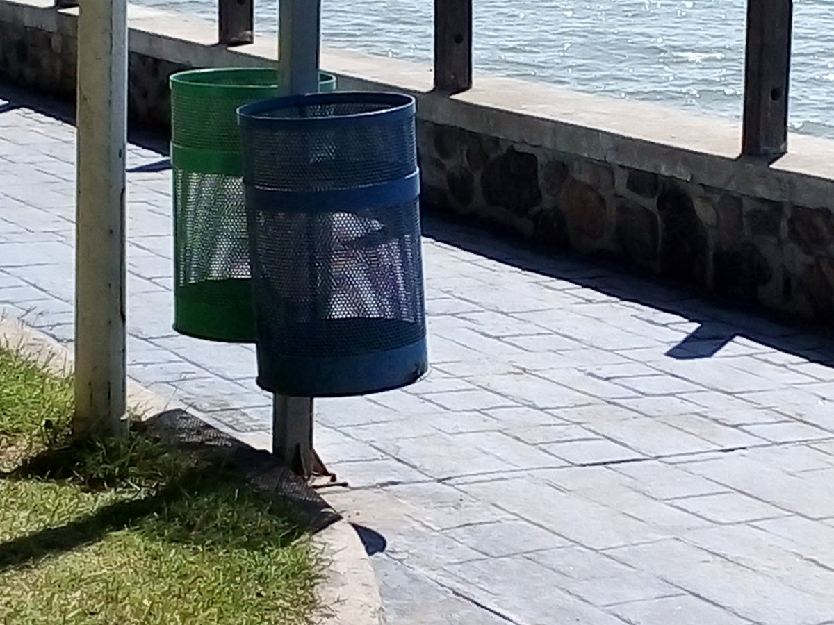 Los cestos de basura solos el ayuntamiento cumple la gente no como que le e ncanta vivir en la porquería adentro se ven los recipientes de plásticos es tan bello que la naturaleza no merece eso por parte nuestra apoyemos en donde quiera que estemos siendo cultos https://t.co/258Pd4Xsi0
