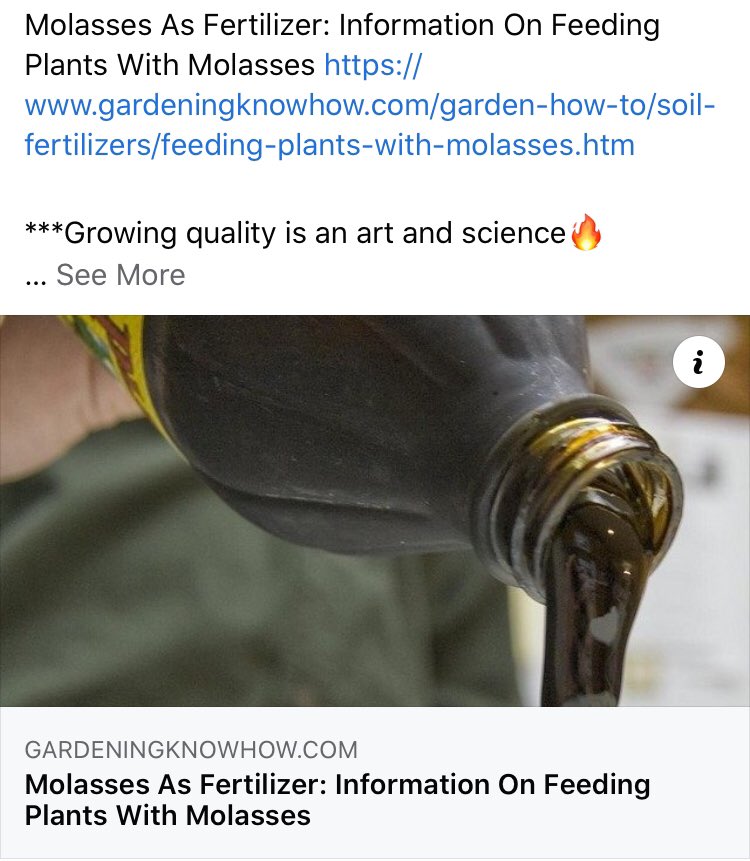 DrPeteMarcelo's tweet photo. Molasses As Fertilizer: Information On Feeding Plants With Molasses https://t.co/6skrBsTNKp

***Growing quality is an art and science🔥
 
Seller of: #hemp #thcfreeseeds and high quality #nutrients #probiotics and #herbicides for all your #gardening and farming needs https://t.co/jpKEhr4SRy