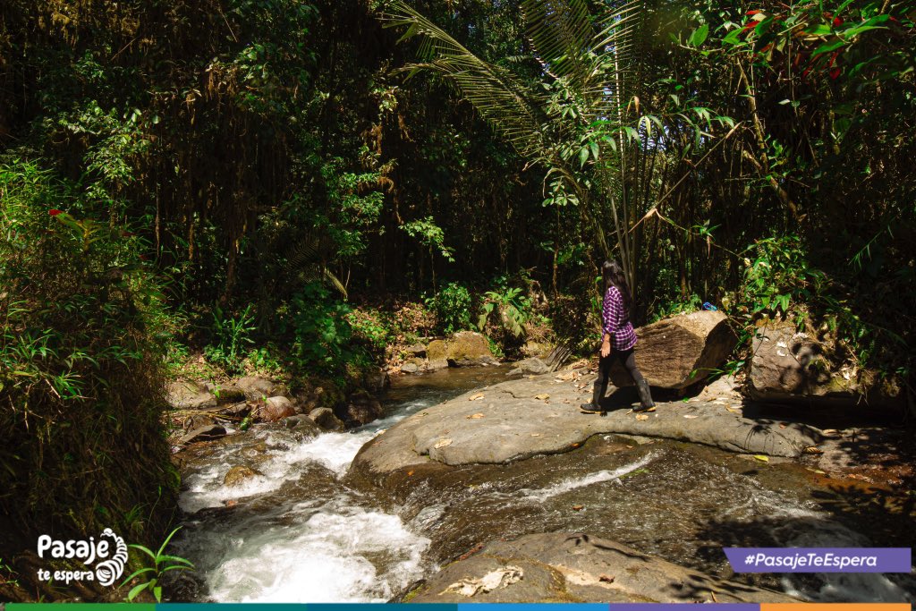 ¿Sabías que el turismo de naturaleza entra en los conceptos del turismo alternativo?
-
Pues te contamos que en el sitio Soledad Comuna lo puedes realizar a través de actividades recreativas, respetando y participando en la conservación de recursos naturales y culturales. https://t.co/ZQk3pRMdqs