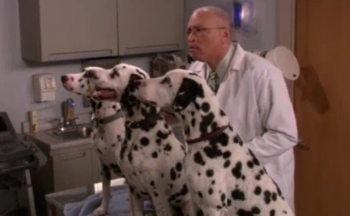 Larry Wilmore was a vet that accidentally discovered dogs are mesmerized by Lily's paintings. #HIMYM S3E19