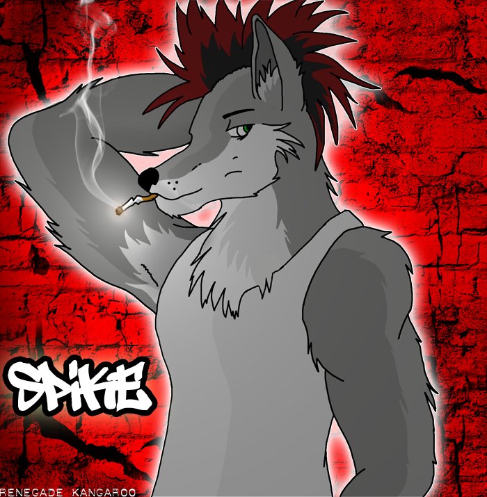 Ive only had 2 fursonas. Renegade and Spike. Spike was my fursona from 1999-2012. In my younger years I was heavily involved with the local punk scene and chose a fursona to represent that and my personality. As time went on I felt he didnt represent who I am anymore and moved on