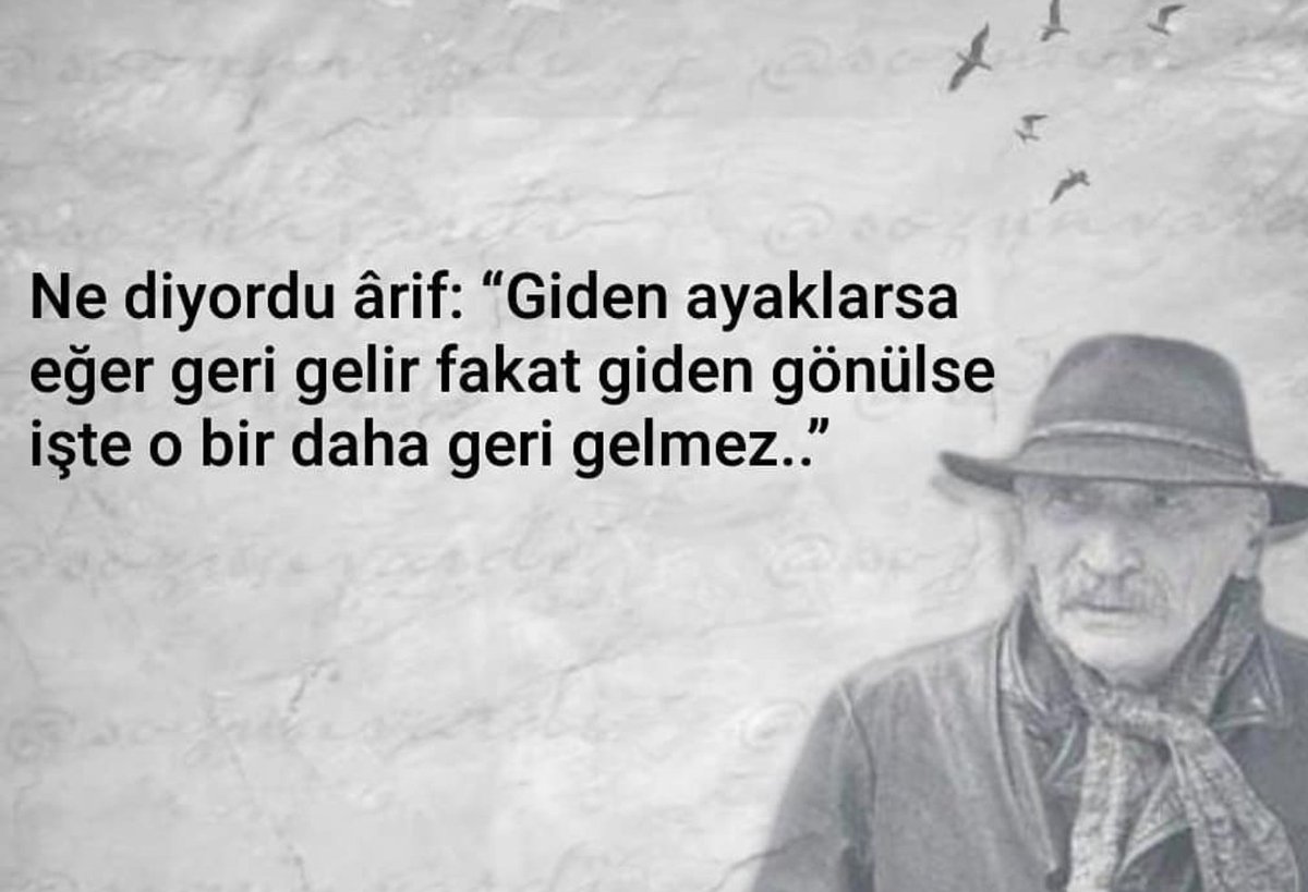 Hayatımıza giren herkes değerlidir; ama herkes özel değildir. Saygı hepsine, sevgi layık olana verilir.

Erich Fromm