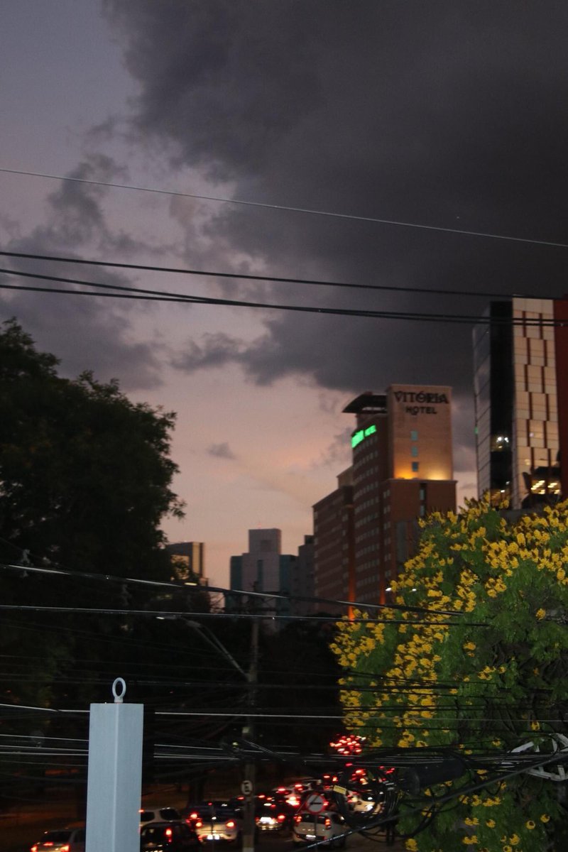 Ruberg  Gerrie tweet media