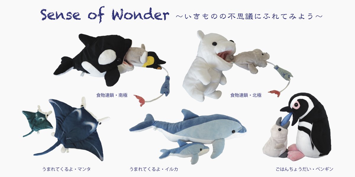 新商品の「センスオブワンダーシリーズ」ですが、ご好評につきAmazon