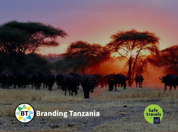 tzbranding's tweet photo. Karibu Tanzania National Parks #TembeleaTanzania https://t.co/tYjohwwnGj