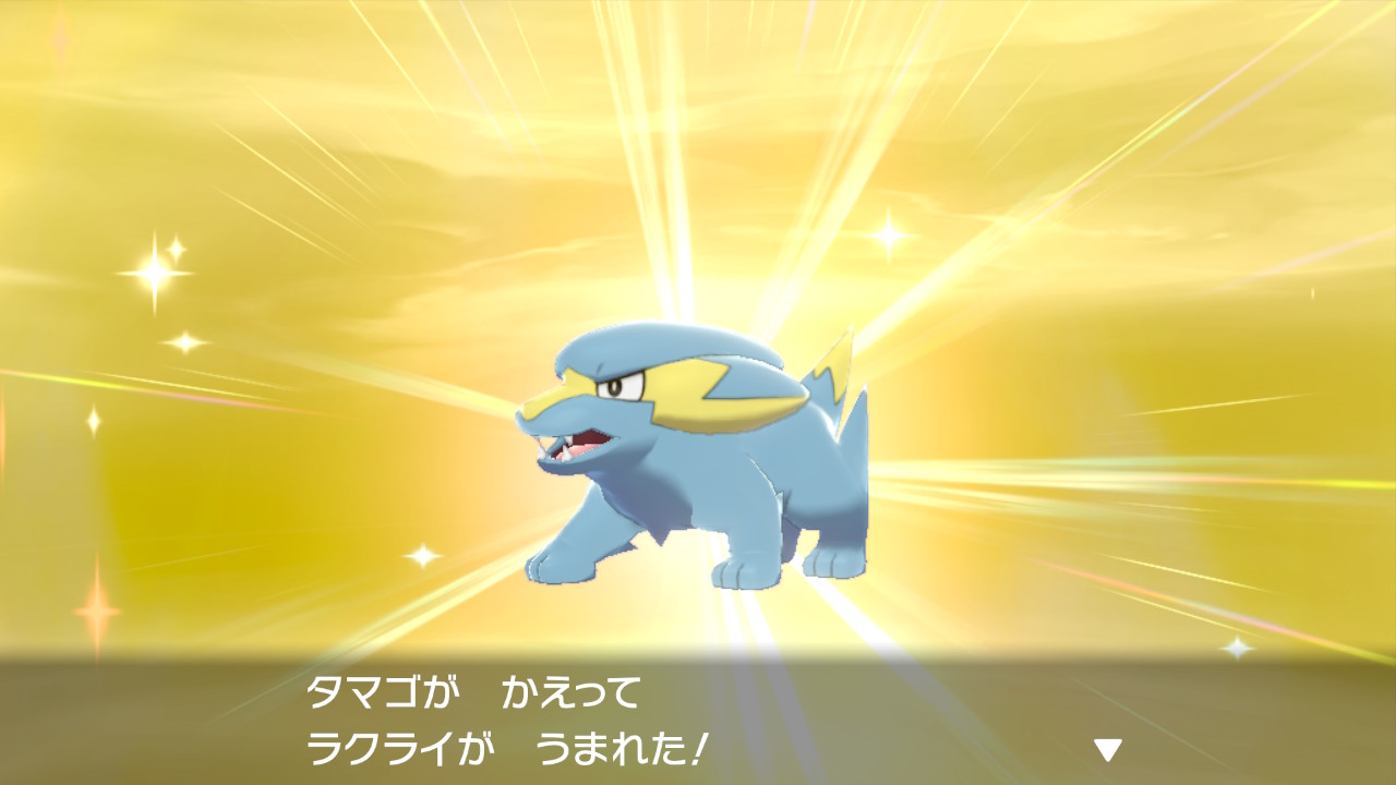 ゆきうさぎレミィ Lsr Twitter पर 色違いラクライ産まれた ポケモン剣盾 Nintendoswitch T Co Mpr1my1rrv Twitter