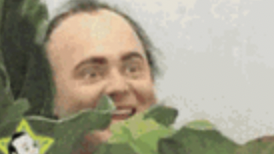 Tom Murphy tweet media