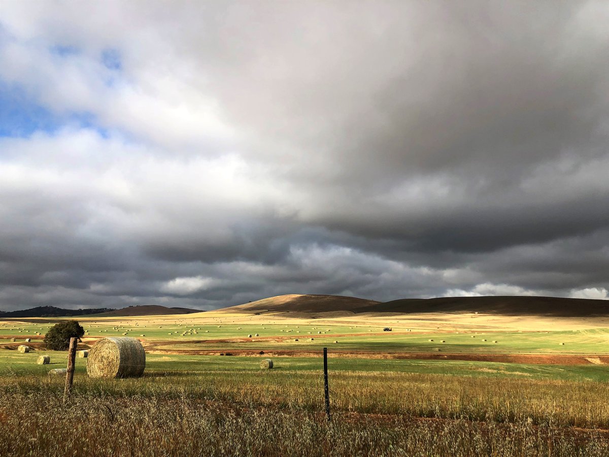 PrincessRoyalStation tweet media