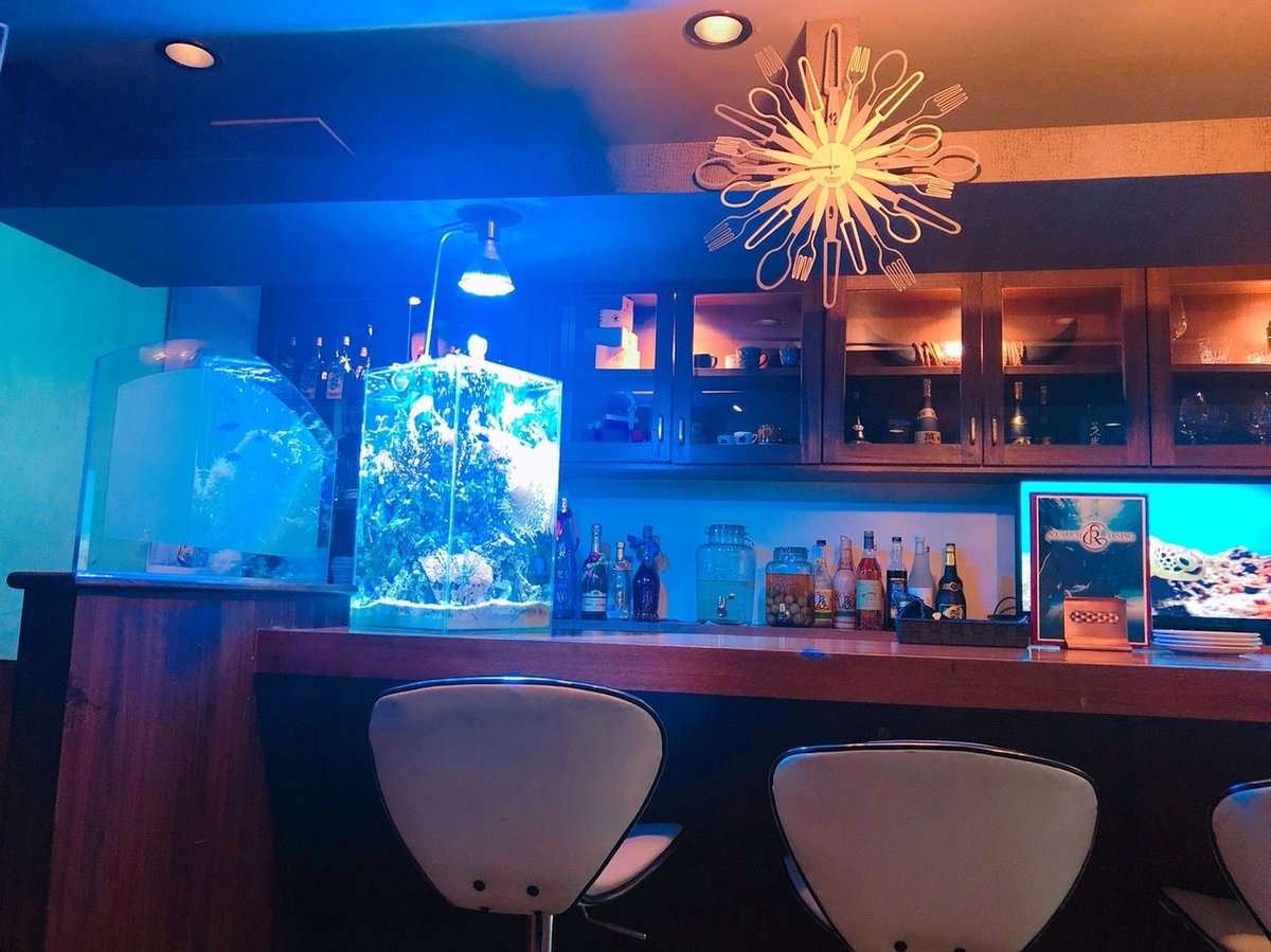 ひとし ボッシュートされる方 沖縄にあるおしゃれなイタリアン発見 はい 言うまでもなくおしゃれですね ここで飲むワインも格別です Aquariumdining Rino T Co Ioguaf5kvq 沖縄 那覇市 前島 那覇 アクアリウム ワイン イタリアン