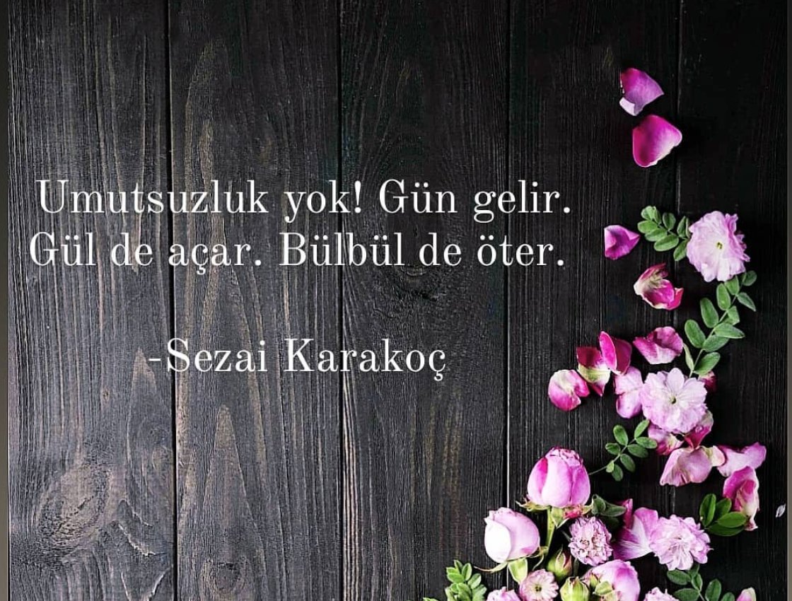 nasipse's tweet photo. https://t.co/jLt2OujkMN
