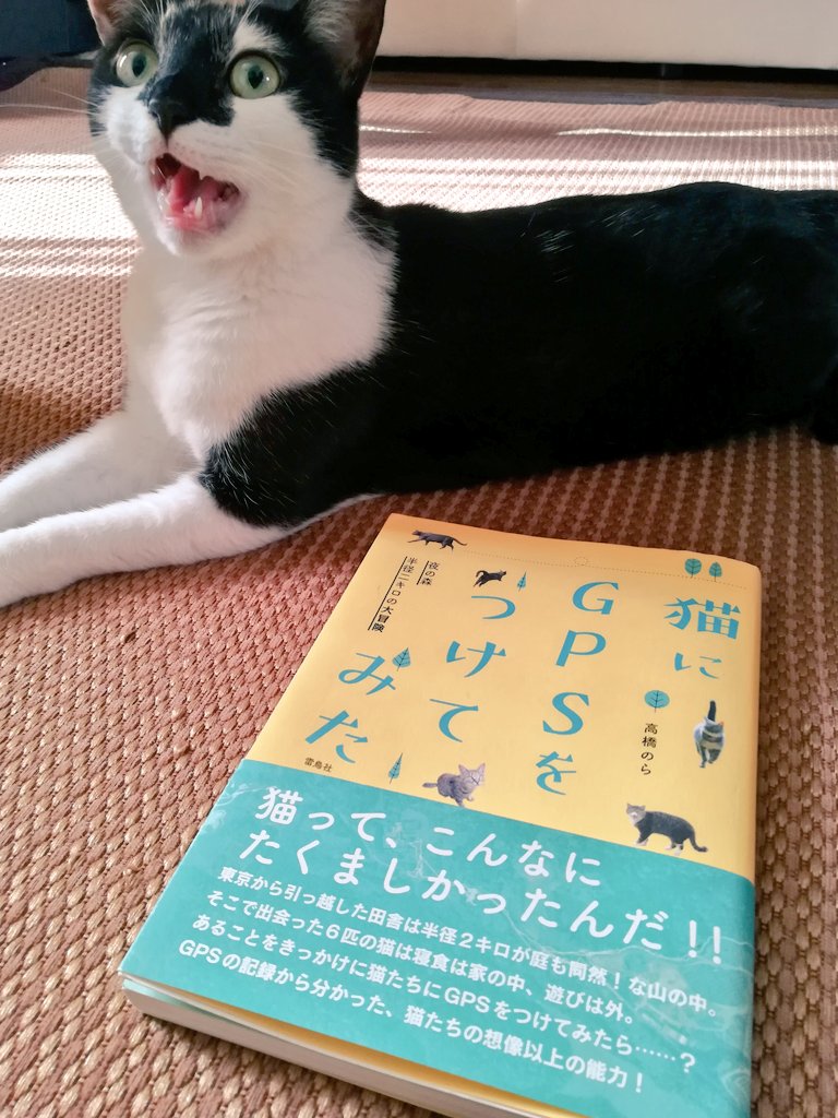 猫にgpsをつけてみた - Twitter Search / Twitter