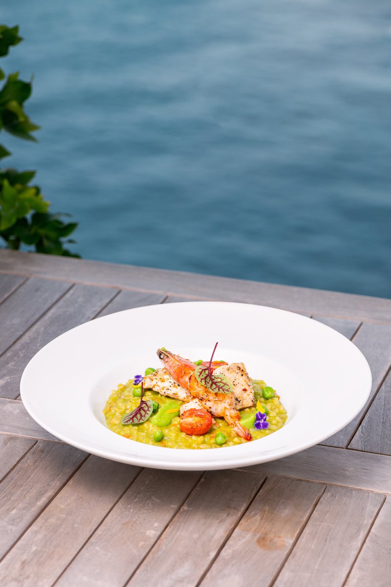 NEW ON THE MENU - Seafood and Green Pea Risotto. 

#Saltcnr ⁣
#saltcafeandrestaurant ⁣⁣ #newonthemenu
#restaurant #malecity #maldives⁣ #supportlocalbusinessesmv