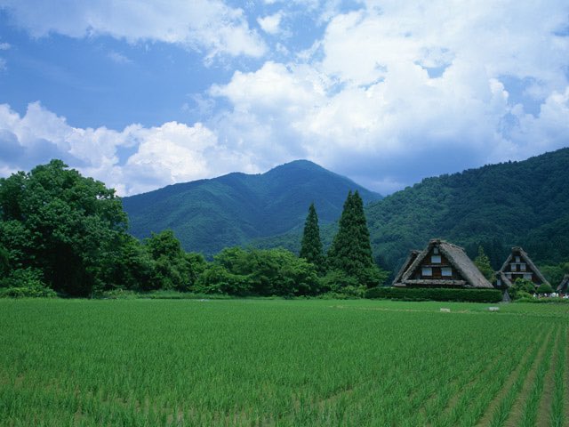 Web_Japan's tweet photo. #Shirakawago (#白川郷), the #WorldHeritage site in #Gifu Pref.
It is known for farmhouses with a steep thatched roof called #Gasshozukuri. The village is a sister city of Alberobello, Italy that also has the World Heritage site.
#VirtualTripToJapan
@MofaJapan_ITPR https://t.co/xHQvsgpPTN