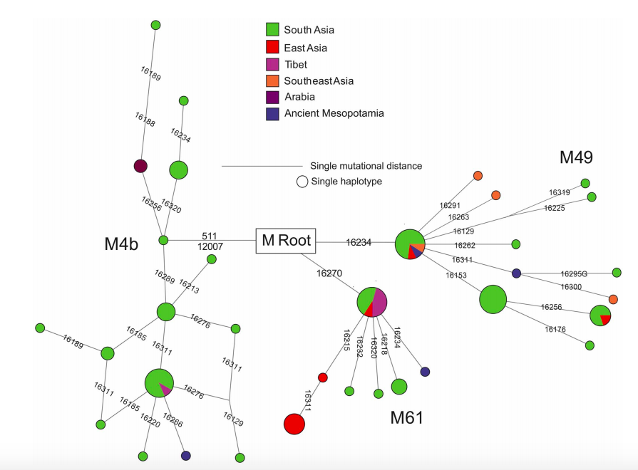 STUNNING find by  @gyanc7 and colleagues. Mesopotamian skeletal remain dated 4,500 years-old has its genetic ancestry traced to the Indian subcontinent.The scientists propose a link to early Bronze Age migrants from India. (via  @NirajRai3)  https://journals.plos.org/plosone/article/file?id=10.1371/journal.pone.0073682&type=printable