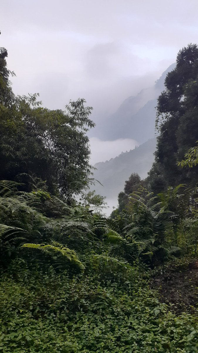 Lance (@lance3734140) on Twitter photo 