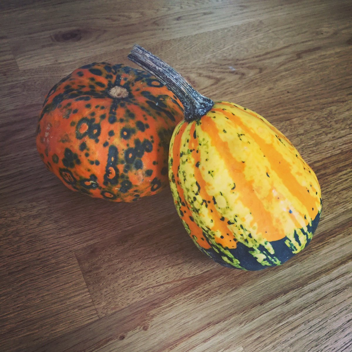 Apple Stuffed Baby Squash
😍🍲🌧️
With Halloween just around the corner, pumpkins are everywhere at the moment. But, you can pick up other wonderful varieties of winter squash which are perfect roasted for a hearty supper on a rainy day.
https://t.co/gMjKatW5Gw
@RoehamptonSU https://t.co/OzIfIeQ6GK