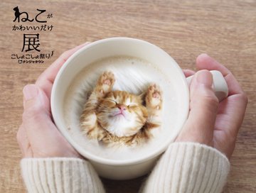 公式 ねこがかわいいだけ展 ニヤニヤしましょ