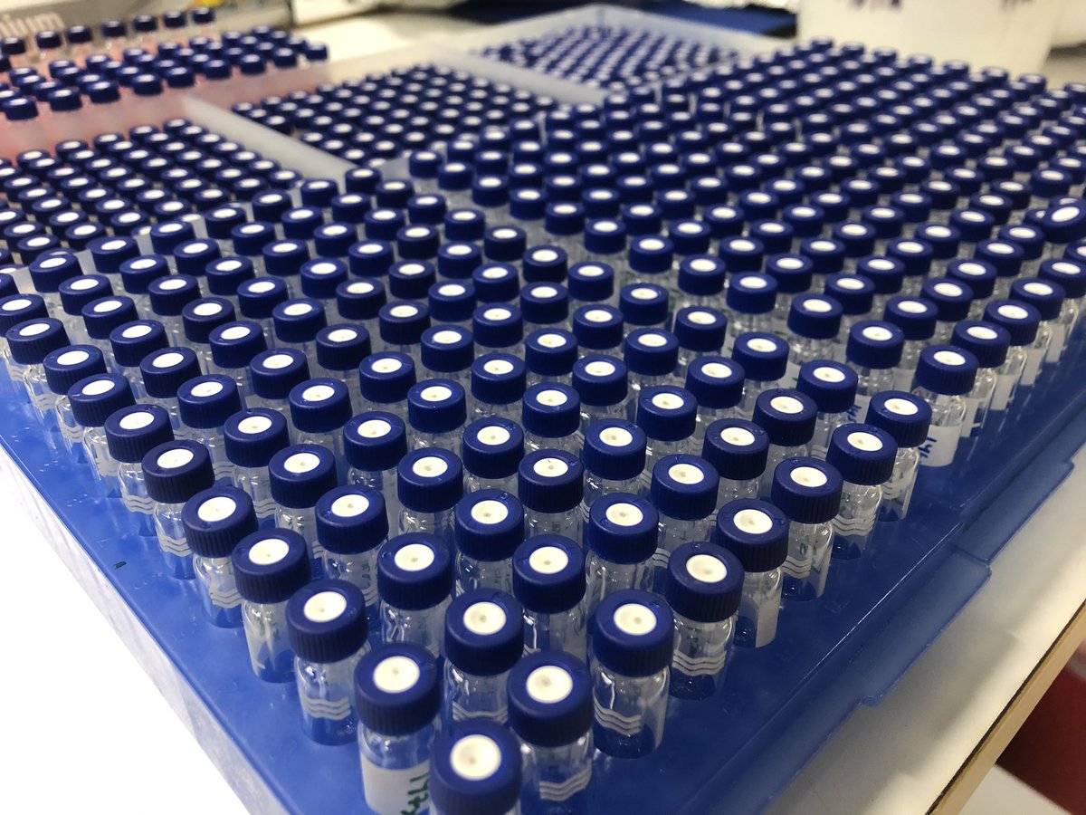 rootsofthenorth's tweet photo. Thank you #swedishmetabolomicscentre! #lc_ms #aminoacids We did it!👩🔬👨🔬 >900 samples in two weeks 😅 https://t.co/1DP6TK8slK