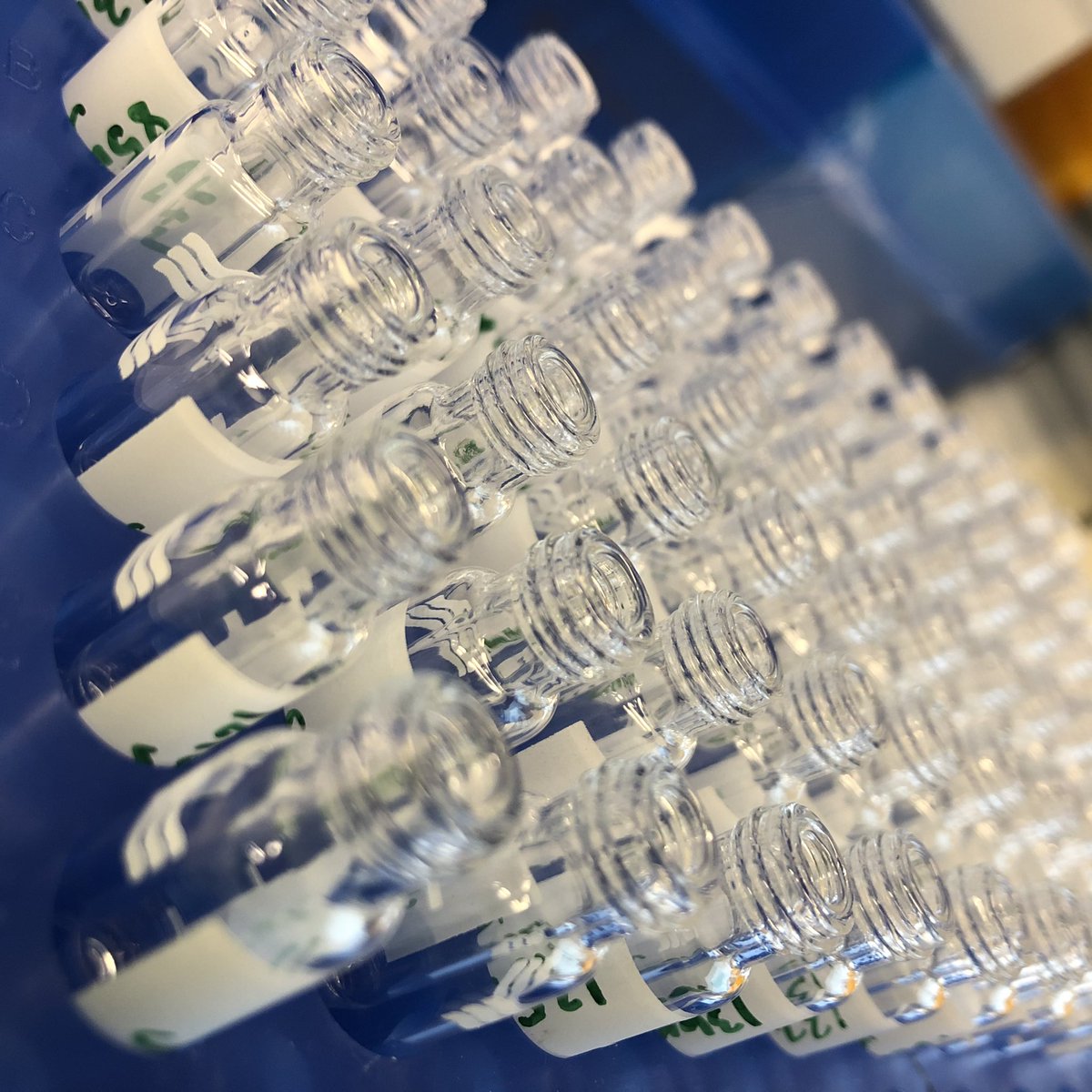 rootsofthenorth's tweet photo. Thank you #swedishmetabolomicscentre! #lc_ms #aminoacids We did it!👩🔬👨🔬 >900 samples in two weeks 😅 https://t.co/1DP6TK8slK