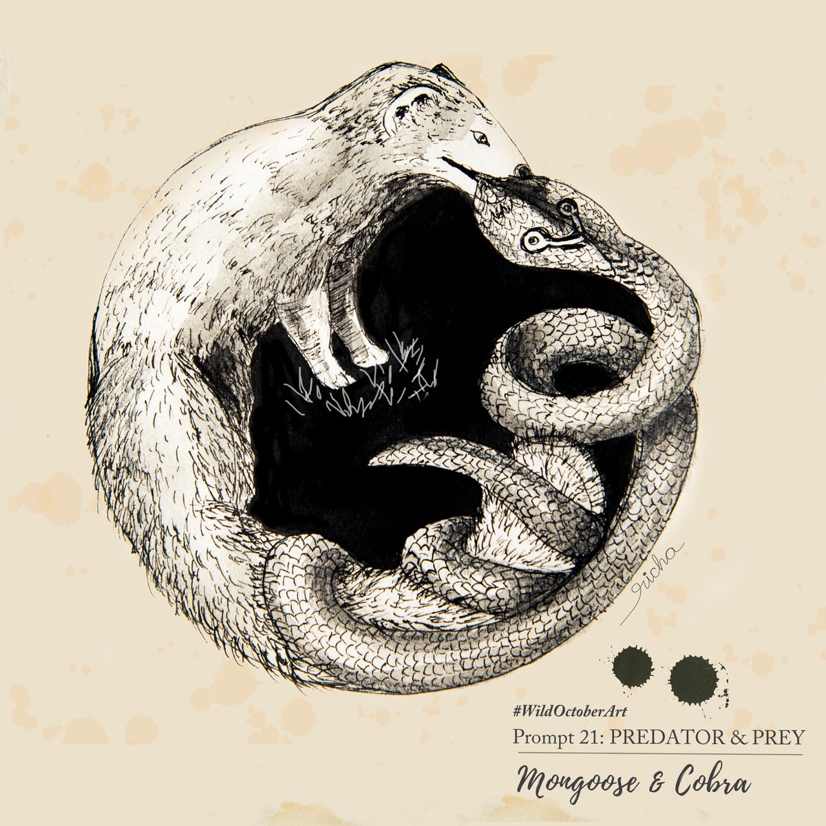 Day 21: Predator & Prey
#Mongoose and #cobra
Either side can win, but usually it is the mongoose.
#inktober2020 #wildoctoberart #wildlifeartist #predator #penandink #sketches