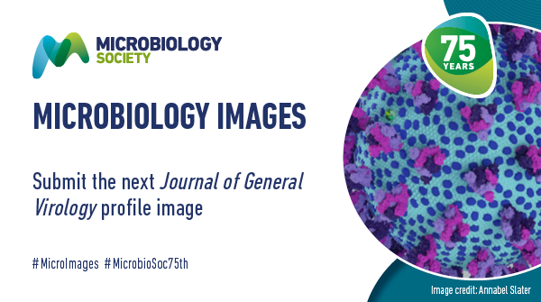 MicrobioSoc's tweet photo. Earlier this year #JGenVirol put a call out for members of the microbiology community to submit the next image that would represent the visual identity of the journal. Learn more and submit your images today. https://t.co/Fc7O8b1DSi #MicroImages https://t.co/7Z1Be7D08v